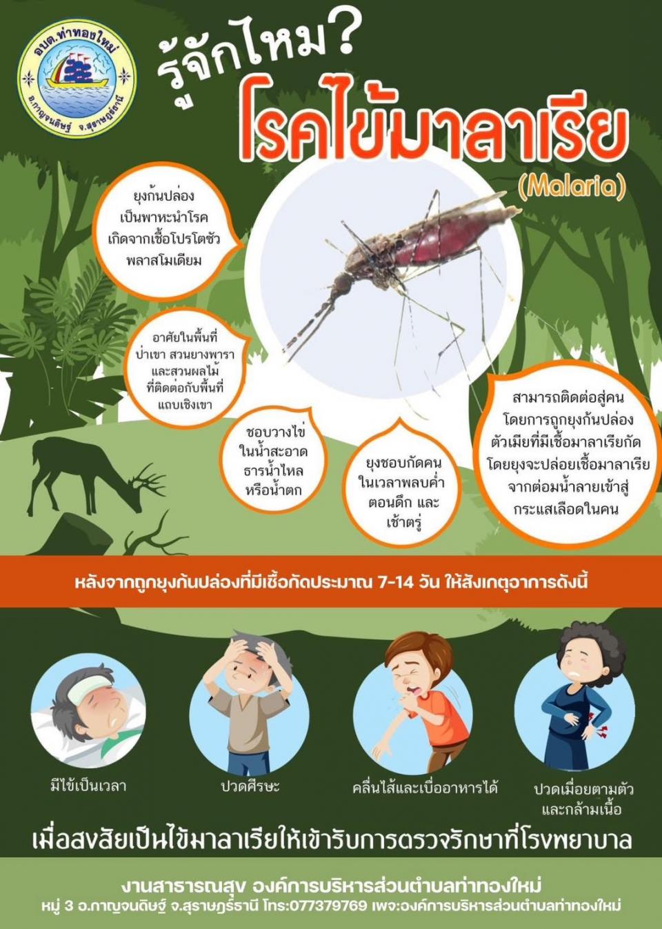 �ä���������� (Malaria)